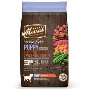 Merrick Merrick Puppy Food Real Beef And Sweet Potato Grain Free Dry Dog Food | 22 lb