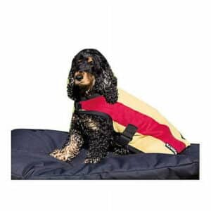 Rambo Deluxe Dog Blanket X-Large Gold