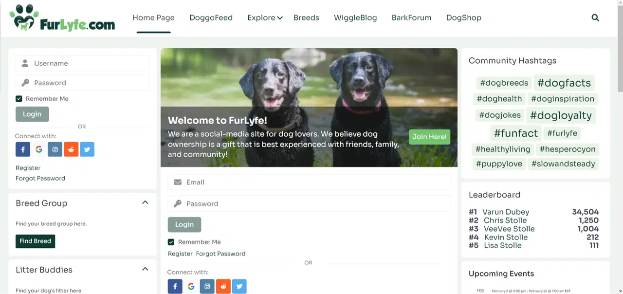 A snapshot of Furlyfe.com's landing page