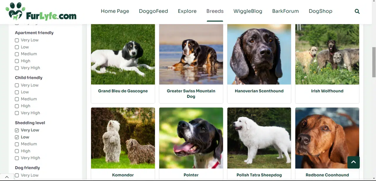 A screen shot of a dog breed page