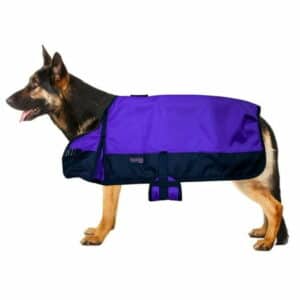 53AD XS Hilason 200 gsm 600D Winter Turnout Waterproof Dog Blanket Purple
