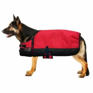 56AD Small Hilason 200 gsm 600D Winter Turnout Waterproof Dog Blanket Red
