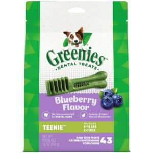 GREENIES TEENIE Natural Dog Dental Care Chews Oral Health Dog Treats Blueberry Flavor 12 oz. Pack (43 Treats)