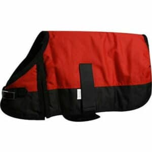 Showman Waterproof & Breathable Dog Blanket - Medium (Red)