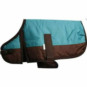 Showman Waterproof & Breathable Dog Blanket - XSmall (Teal)