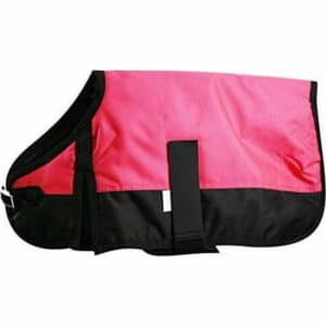 Showman Waterproof & Breathable Dog Blanket - XXLarge (Pink)