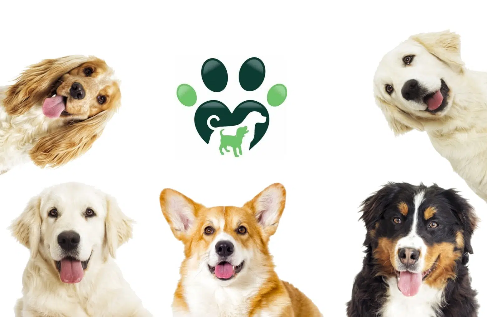 Five dogs smiling around a Furlyfe Logo