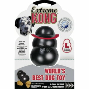1 PK Kong Extreme Chew Large Dog Toy