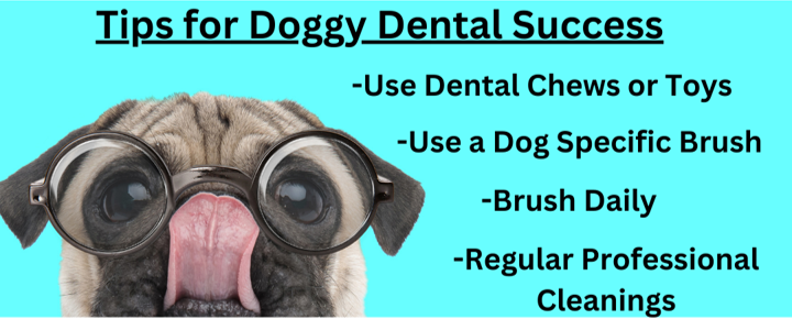 Infographic of a dog wearing glasses and licking his face.  The text describes tips for doggy dental success.