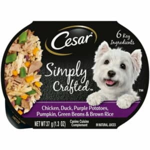 Cesar Simply Crafted Wet Dog Food Topper Adult 1.3 Oz. Pack Of 10