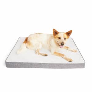 EveryYay Essentials Cooling Orthopedic Dog Bed, 36" L X 27" W, Large, Multi-Color