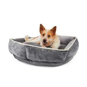 EveryYay Essentials Snooze Fest Grey Round Snuggler Dog Bed, 36" L X 36" W, Large, Gray