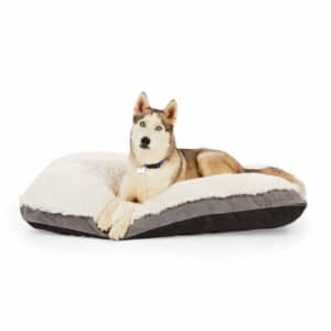 EveryYay Essentials Snooze Fest Lavender-Scented Dog Bed, 36" L X 48" W X 3" H, X-Large, White