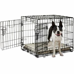 EveryYay Going Places 2-Door Folding Dog Crate, 24.8" L X 17.9" W X 19.5" H, Small, Black