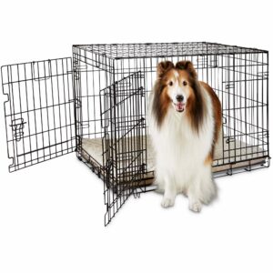 EveryYay Going Places 2-Door Folding Dog Crate, 36.8" L X 23.2" W X 24.9" H, Large, Black