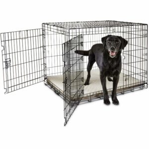 EveryYay Going Places 2-Door Folding Dog Crate, 43.2" L X 28.5" W X 30.7" H, X-Large, Black