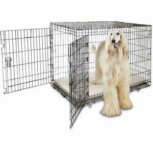 EveryYay Going Places 2-Door Folding Dog Crate, 49.1" L X 30.5" W X 32.6" H, XX-Large, Black
