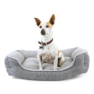 EveryYay Snooze Fest Grey Rectangle Nester Box Dog Bed, 32" L X 24" W, Medium, Gray