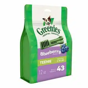 Gn Flavors Blueberry 12oz Teenie 43ct