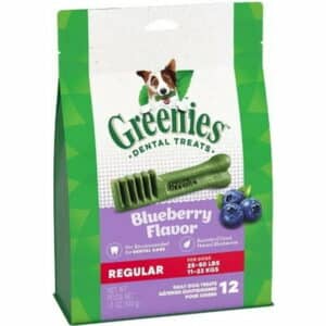 Greenies Regular Dental Dog Treats Blueberry