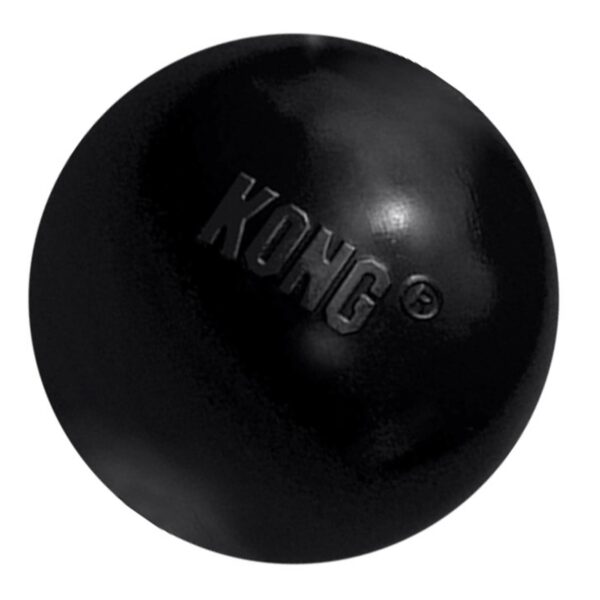 KONG Extreme Ball Dog Toy, Large, Red