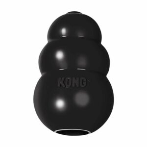 KONG Extreme Dog toy - XL, Each