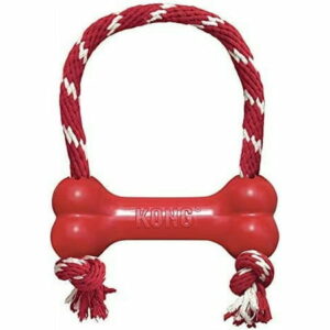 KONG - Goodie Bone with Rope - Durable Rubber Chew Bone Teeth Cleaning Dog Toy