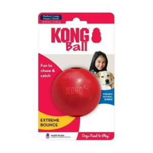 KONG Medium/Large Ball with Hole Dog Toy