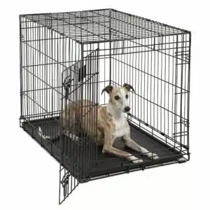 MidWest Life Stages Single Door Folding Dog Crate, Size: 36.78"L x 24.41"W 26.58"H | Plastic PetSmart