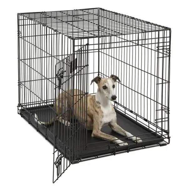 MidWest Life Stages Single Door Folding Dog Crate, Size: 36.78"L x 24.41"W 26.58"H | Plastic PetSmart