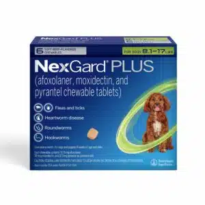 NexGard Plus Chew for Dogs, 8.1-17lbs., Pack of 6, 6 CT