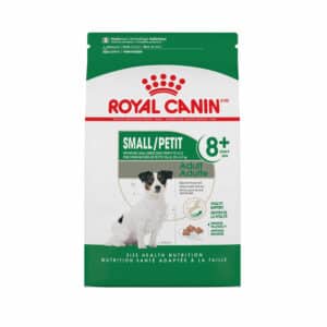 Royal Canin Small Adult 8+ Dog Food | 2.5 lb