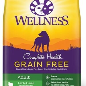 Wellness Grain-Free Complete Health Adult Lamb & Lamb Meal Recipe Dry Dog Food - 22 lb Bag