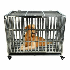 42 Inch Heavy Duty Stainless Steel Dog Cage High Anxiety Indestructible and Escape-Proof Dog Crate Kennel for Large Medium Small Dogs Indoor Outdoor