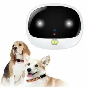 4G Dog GPS for Dog Collar Waterproof Pet GPS Tracking Device Mini Anti Lost Locator
