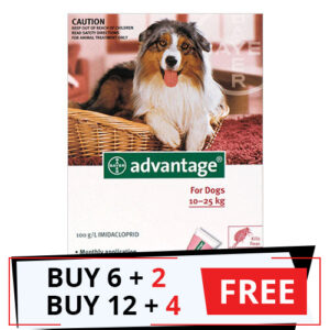 Advantage Large Dogs 21-55lbs (Red) 12 Doses + 4 Free