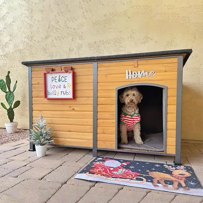 Best Indoor Dog house
