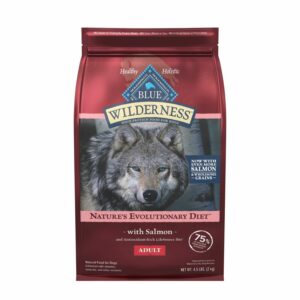 Blue Buffalo Blue Buffalo Wilderness High Protein Natural Adult Dry Dog Food Plus Wholesome Grains, Salmon | 13 lb