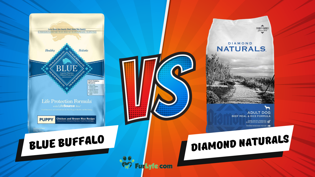 Blue Buffalo vs Diamond Naturals