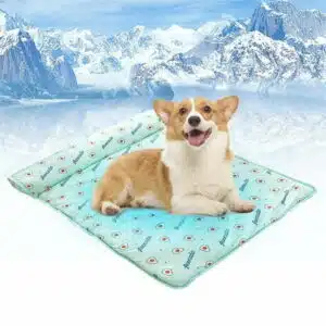 Brother Teddy Dog Blanket Cooling Pad for Dog Cute Pattern Pet Beds with Single Side Pillow Washable-Rectangle Pet Summer Cooling Beds for Puppy and Kitten Green 15.74 X23.62