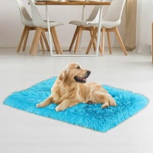 Brother Teddy Dog Blankets for Small Dogs Solid Color Pet Beds Washable-Rectangle Pet Autumn Winter Warming Beds Soft Fluffy Warm and Cozy 14.1 X19.6 Blue