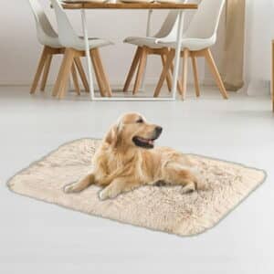 Brother Teddy Dog Blankets for Small Dogs Solid Color Pet Beds Washable-Rectangle Pet Autumn Winter Warming Beds Soft Fluffy Warm and Cozy 14.1 X19.6 Beige