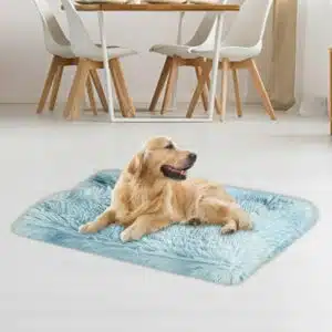 Brother Teddy Dog Blankets for Small Dogs Solid Color Pet Beds Washable-Rectangle Pet Autumn Winter Warming Beds Soft Fluffy Warm and Cozy 14.1 X19.6 Light Blue