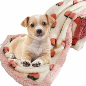 CSCHome Waterproof Dog Blankets for Large Dogs Liquid Pee Proof Dog Blanket for Sofa Bed Couch Waterproof Dog Blanket Washable