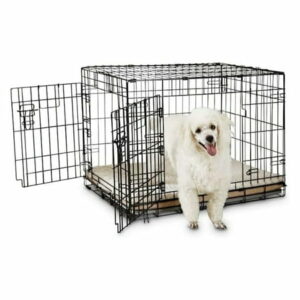 Going Places 2-Door Folding Dog Crate 30.9 L X 19.5 W X 21.5 H