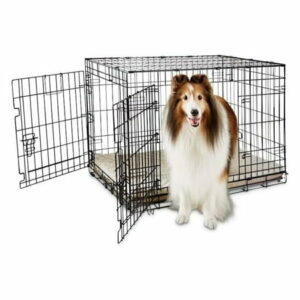 Going Places 2-Door Folding Dog Crate 36.8 L X 23.2 W X 24.9 H