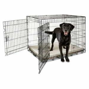 Going Places 2-Door Folding Dog Crate 43.2 L X 28.5 W X 30.7 H