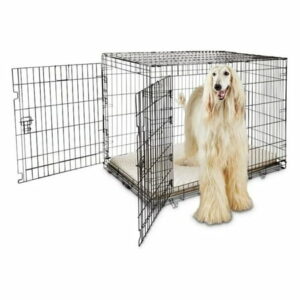 Going Places 2-Door Folding Dog Crate 49.1 L X 30.5 W X 32.6 H