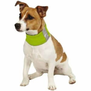 Insect Shield for Pets Neck Gaiter Green Medium