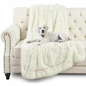 Junovo Luxury Velvet Fluffy Dog Blanket Soft and Warm Pet Blankets 40 x60 White